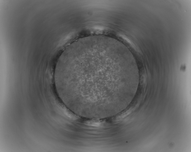 X0000092020661200709061554