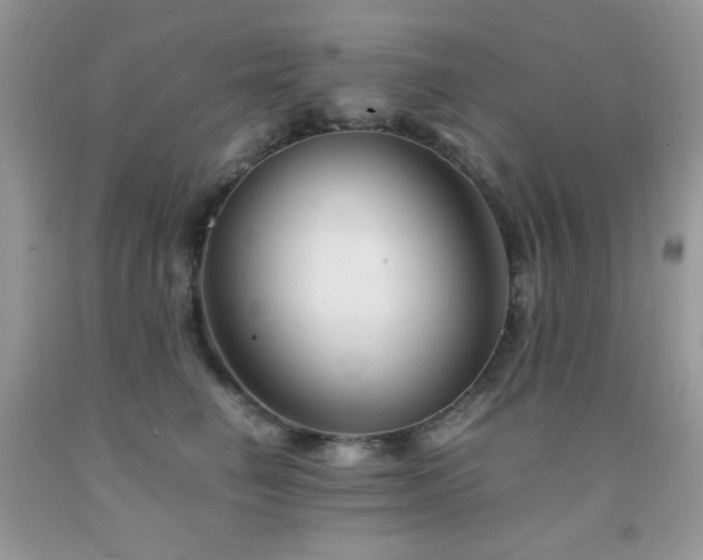 X0000092020662200709061554