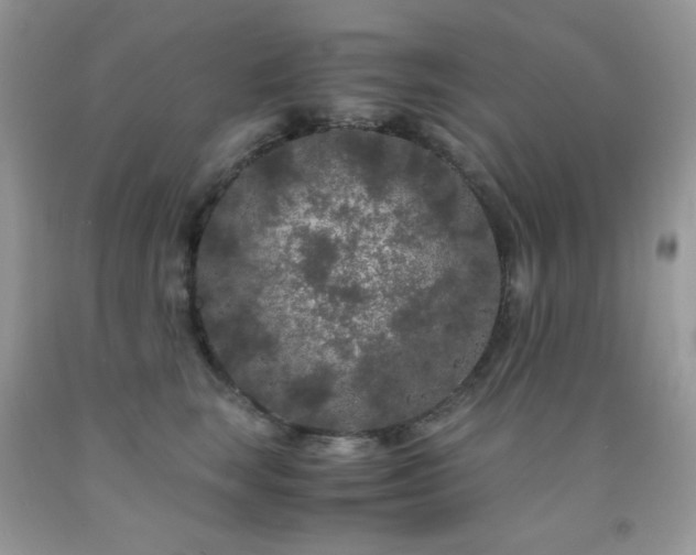 X0000092020663200709061554