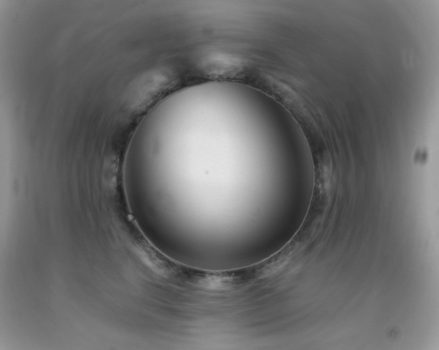 X0000092020664200709061554