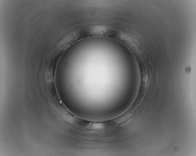 X0000092020665200709061554