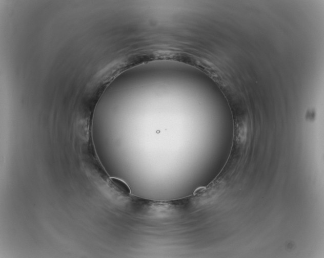 X0000092020666200709061554