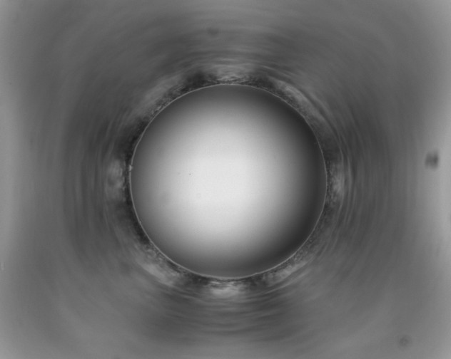 X0000092020667200709061554