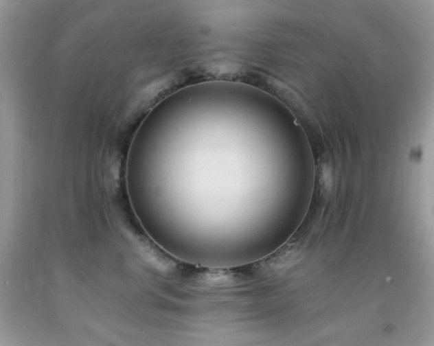 X0000092020668200709061554