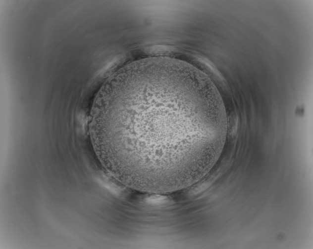 X0000092020669200709061554