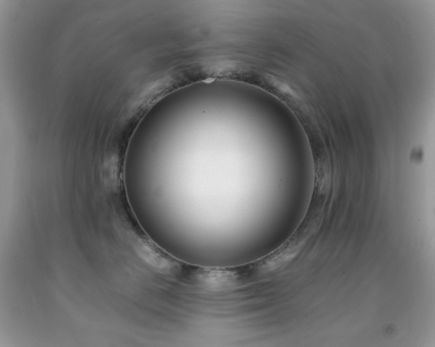 X0000092020670200709061554