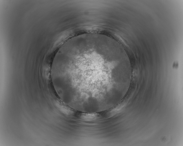 X0000092020671200709061554
