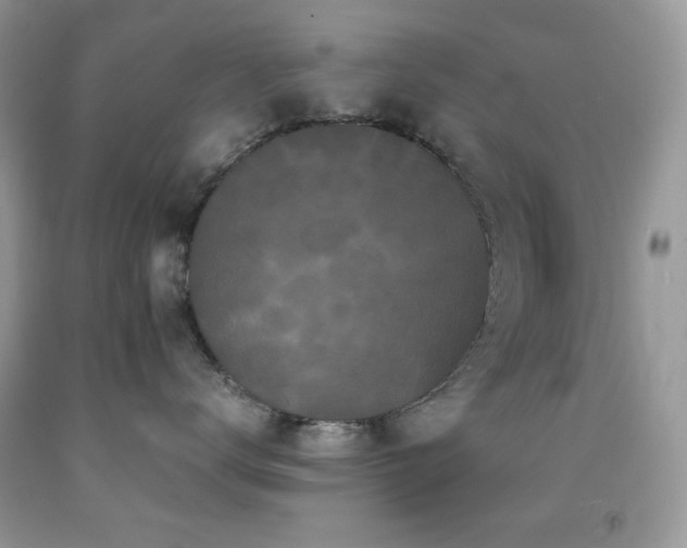 X0000092020672200709061554