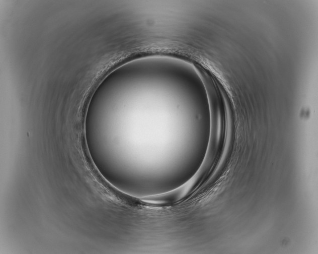 X0000092020673200709061554