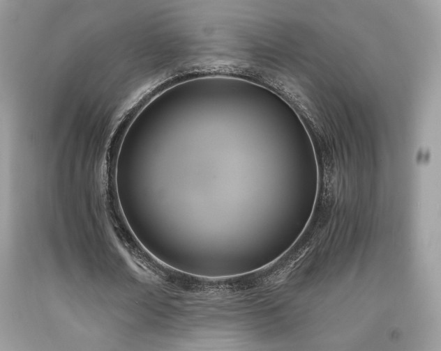 X0000092020674200709061554