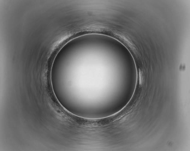 X0000092020675200709061554