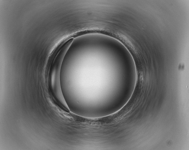 X0000092020676200709061554