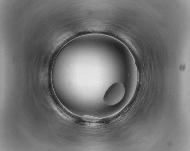 X0000092020677200709061554