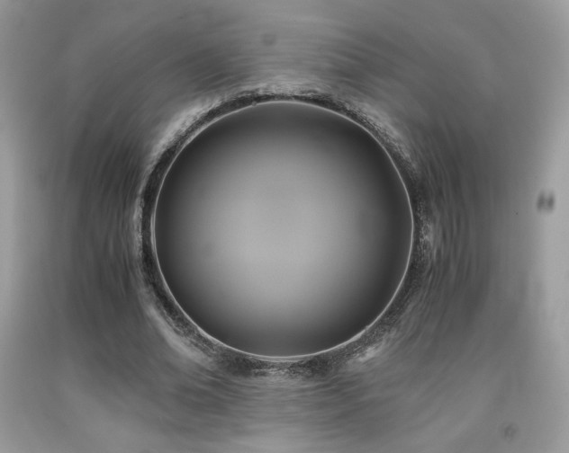 X0000092020678200709061554