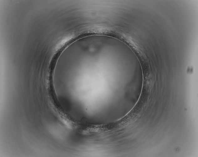 X0000092020679200709061554