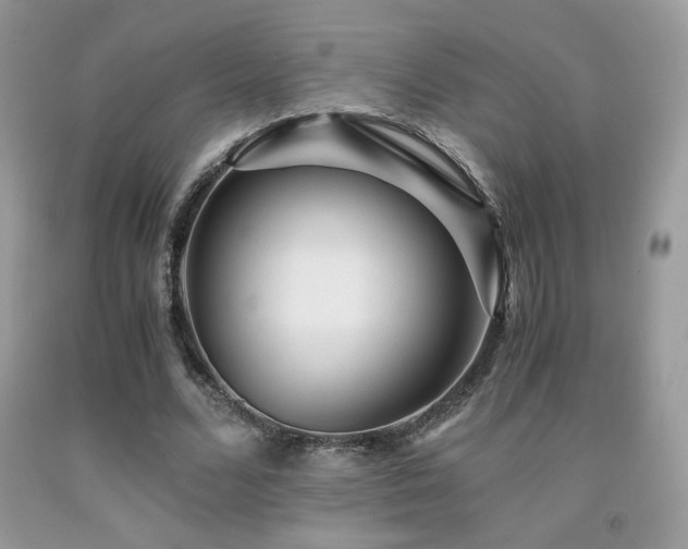 X0000092020680200709061554