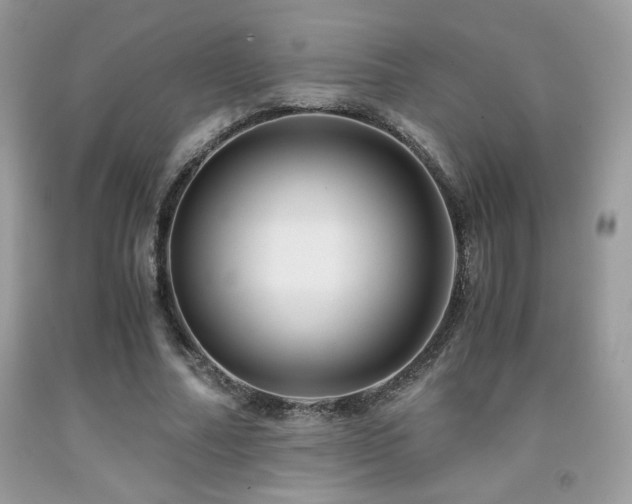 X0000092020682200709061554