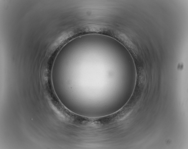 X0000092020683200709061554