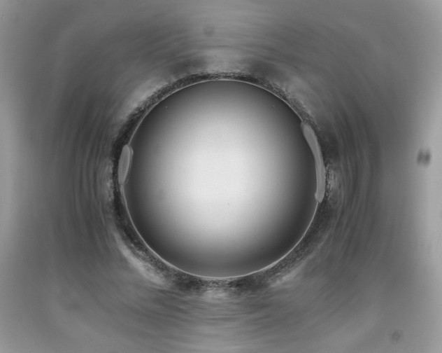 X0000092020684200709061554