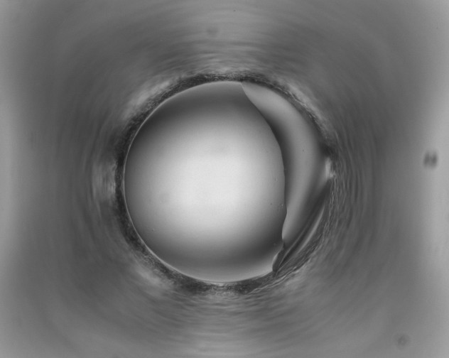 X0000092020685200709061554