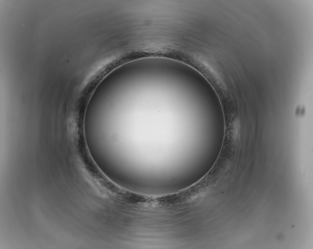 X0000092020688200709061554