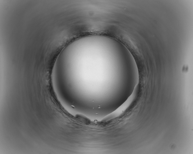 X0000092020689200709061554