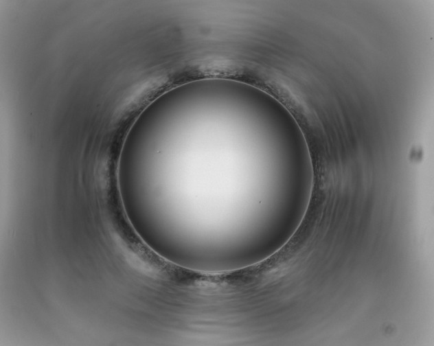 X0000092020690200709061554