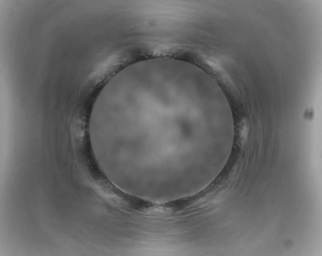 X0000092020691200709061554