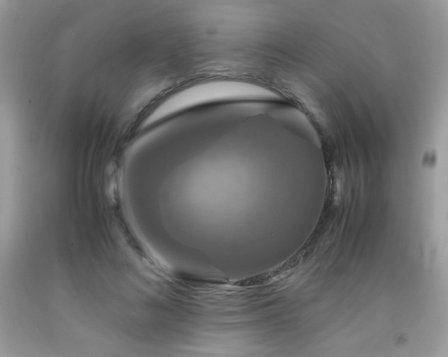 X0000092020692200709061554