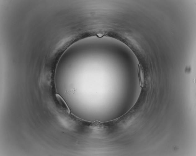 X0000092020693200709061554