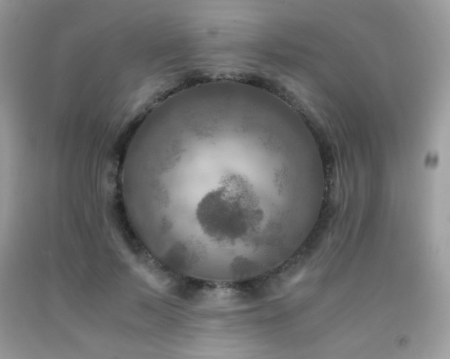 X0000092020695200709061553