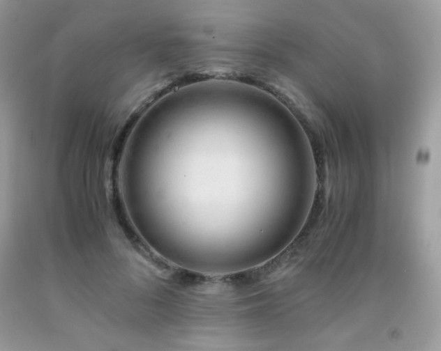 X0000092020696200709061553
