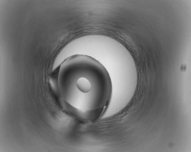 X0000092020697200709061553