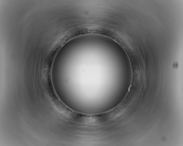 X0000092020698200709061553