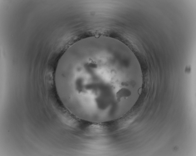 X0000092020699200709061553