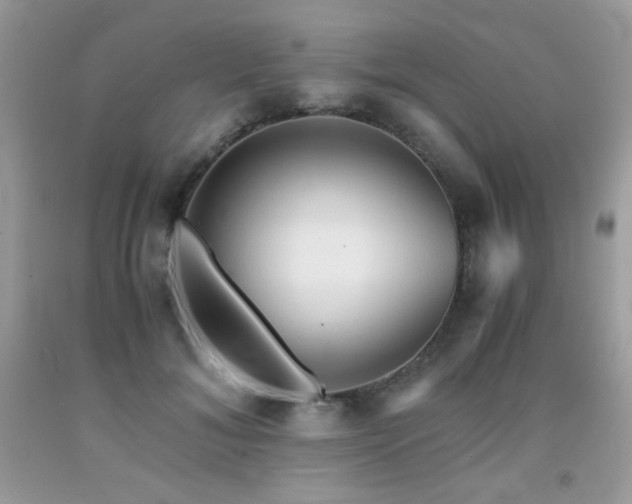 X0000092020700200709061553