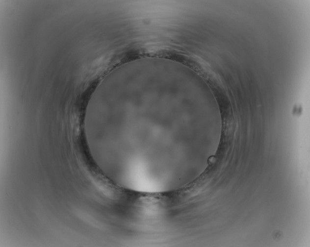 X0000092020703200709061553