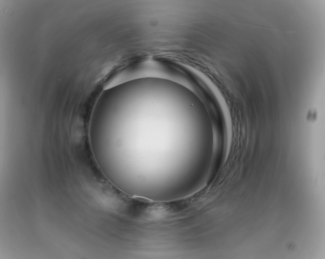 X0000092020704200709061553