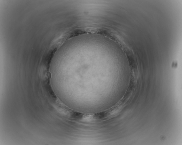 X0000092020705200709061553