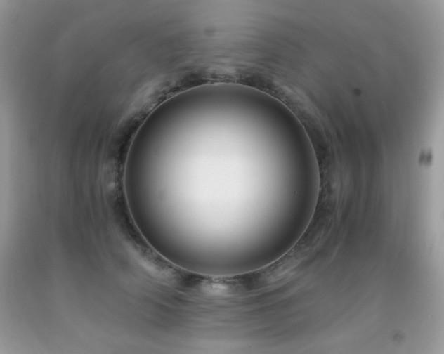 X0000092020706200709061553