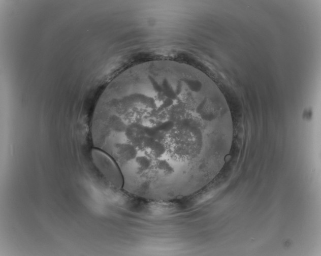 X0000092020707200709061553