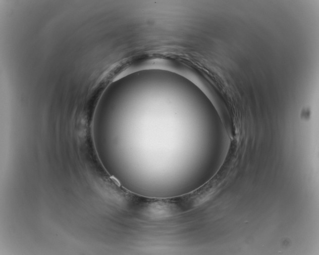X0000092020708200709061553