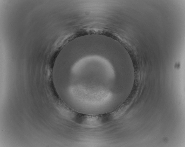 X0000092020709200709061553