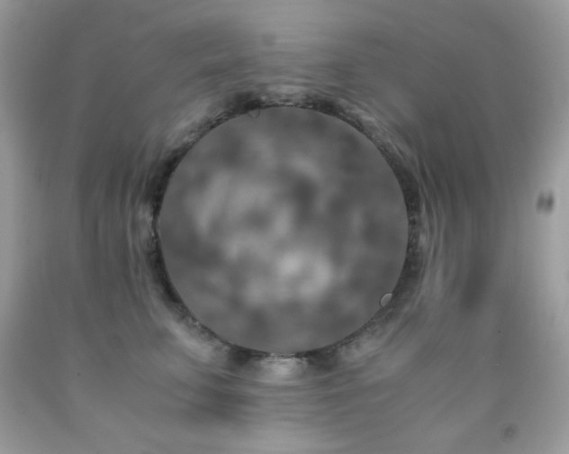 X0000092020711200709061553