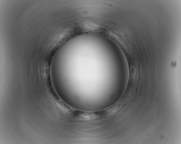 X0000092020712200709061553