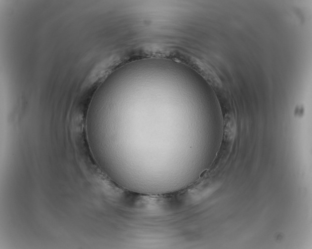 X0000092020713200709061553