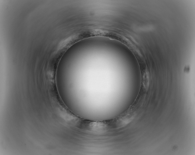 X0000092020714200709061553