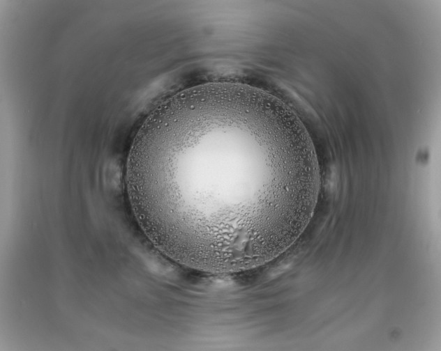 X0000092020715200709061553