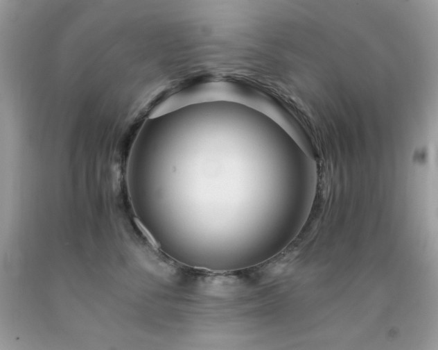 X0000092020716200709061553