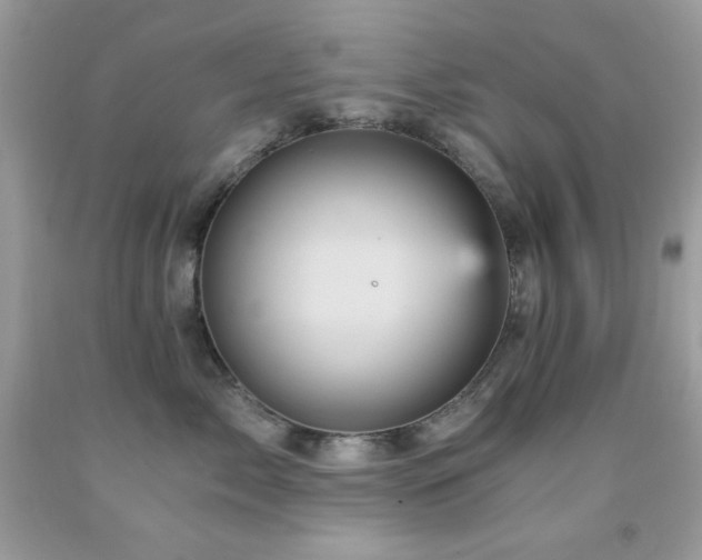 X0000092020717200709061553